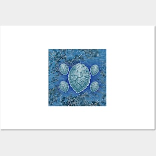 Turtles underwater Posters and Art